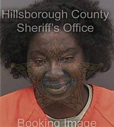 Jessica McIntyre - Hillsborough County, FL 