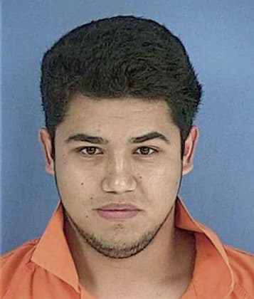 Brayan Mejia-Rodriguez, - Walton County, FL 