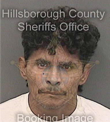 Juan Miraldagrijalva - Hillsborough County, FL 
