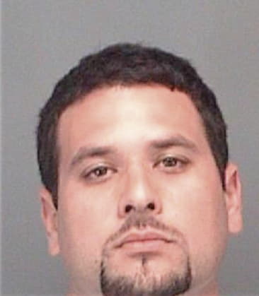 Delmar Rodriguezhernandez, - Pinellas County, FL 