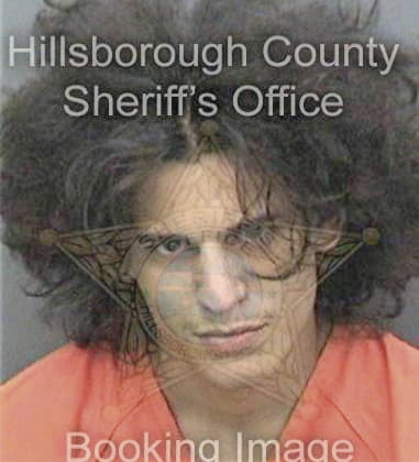 Rodrigo Sancheznunez, - Hillsborough County, FL 