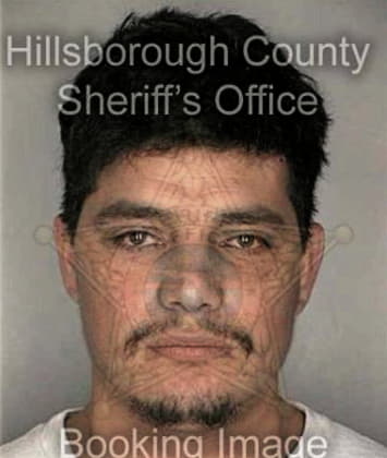 Jesus Suarez, - Hillsborough County, FL 