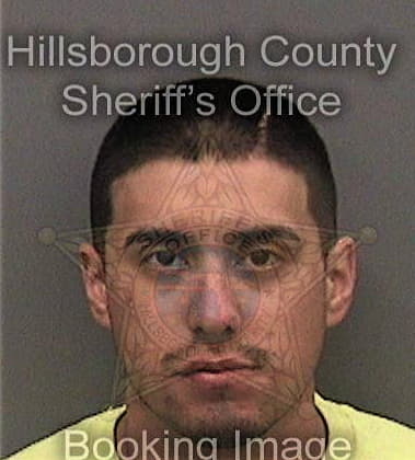 Francisco Castillo, - Hillsborough County, FL 