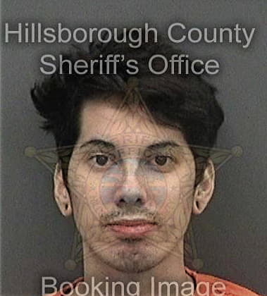 Felix Colon, - Hillsborough County, FL 