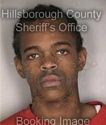 Anthony Daniel, - Hillsborough County, FL 