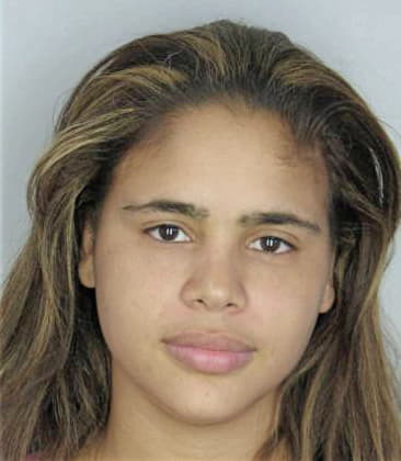 Cierra Michel - Hillsborough County, FL 