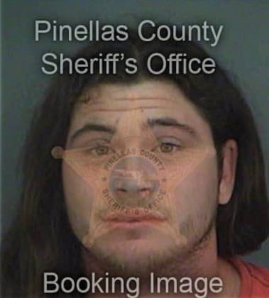 Michael Wyant, - Pinellas County, FL 