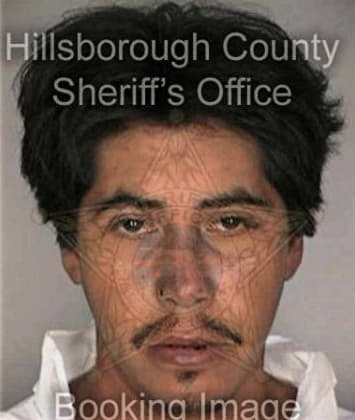 Haidar Aboutalebi, - Hillsborough County, FL 