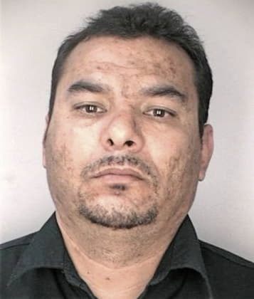 Delmar Bravo - Hillsborough County, FL 