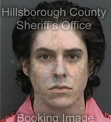 Ivan Bronnikov, - Hillsborough County, FL 