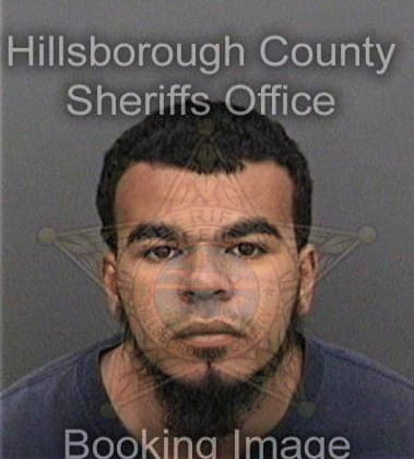 James Hunsberger, - Hillsborough County, FL 