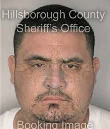 Lawrence Zollo, - Hillsborough County, FL 