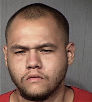 George Bingham - Maricopa County, AZ 