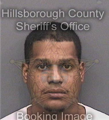 Kenneth Etheridge, - Hillsborough County, FL 