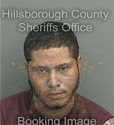 Rafael Guerrero, - Hillsborough County, FL 