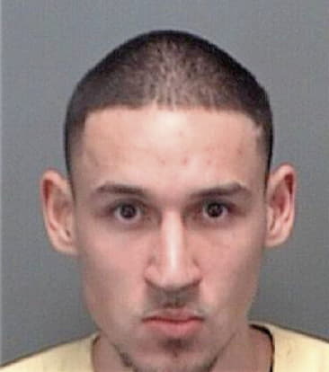 Martin Lopezarreguin, - Pinellas County, FL 