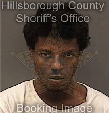 Terrel McClam - Hillsborough County, FL 