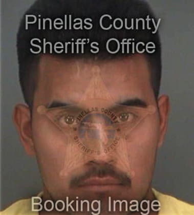 Jose Mota, - Pinellas County, FL 