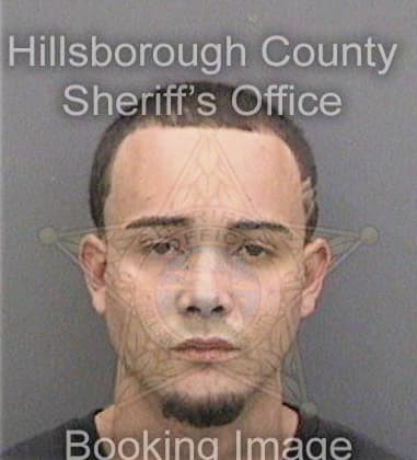 Jeremy Swanner, - Hillsborough County, FL 