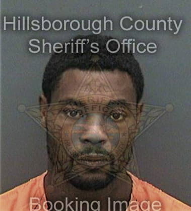 Gino Voltere, - Hillsborough County, FL 