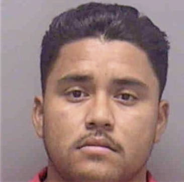 Francisco Cepeda, - Lee County, FL 