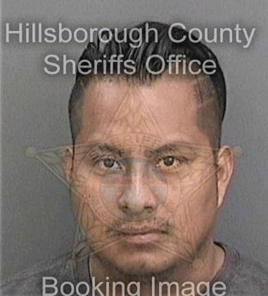 Anthony Colla - Hillsborough County, FL 