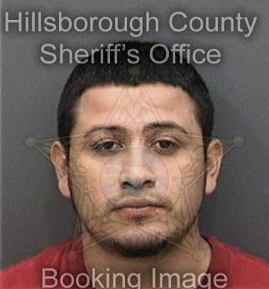 Nicholas Gillham, - Hillsborough County, FL 