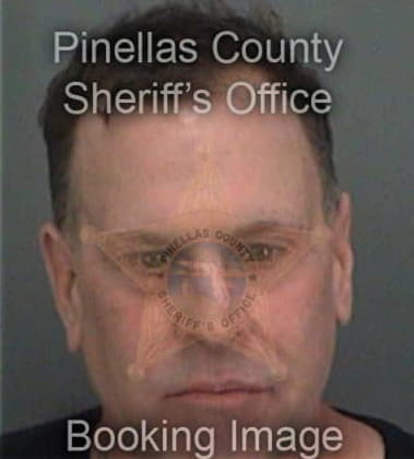 Damir Huseljic, - Pinellas County, FL 