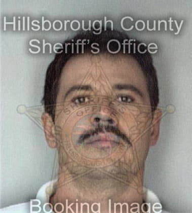 Christopher Irvan, - Hillsborough County, FL 