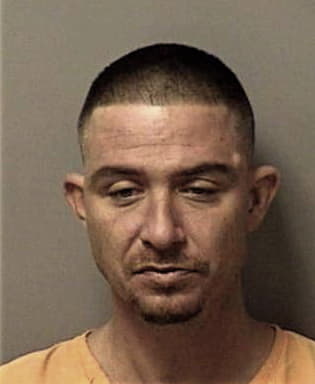 Joshua Lewis, - Citrus County, FL 