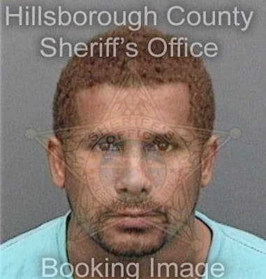 Ramon Lugo, - Hillsborough County, FL 