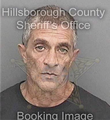 Nathaniel Pintorodriguez, - Hillsborough County, FL 