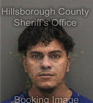 Timothy Shea, - Hillsborough County, FL 