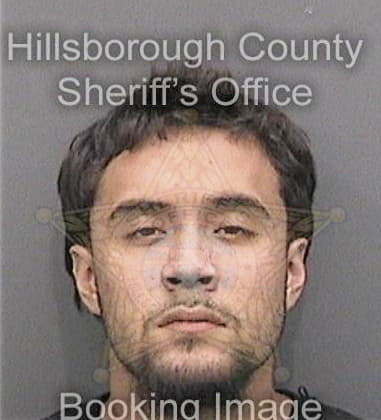 Michael Johnson, - Hillsborough County, FL 