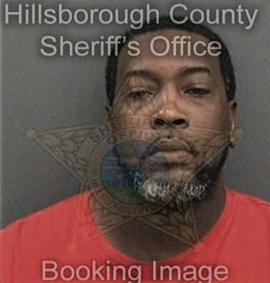 Michael McMillon - Hillsborough County, FL 
