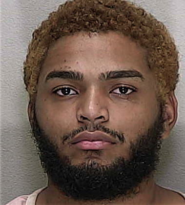 Nimesh Patel, - Marion County, FL 