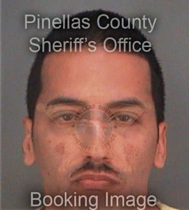 Carlos Perezreyes, - Pinellas County, FL 