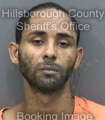 Robert Wilson, - Hillsborough County, FL 