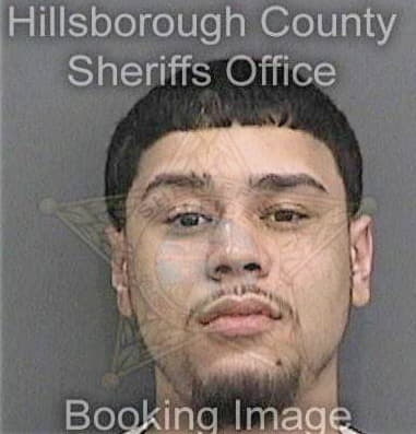 Jesse Landers, - Hillsborough County, FL 