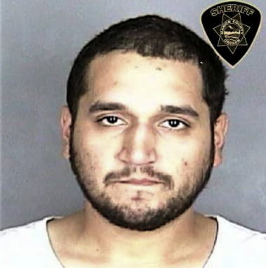 Gustavo Mendia-Navarrete - Marion County, OR 