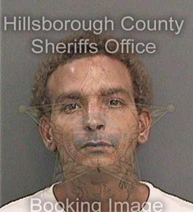 Kyle Metcalfe - Hillsborough County, FL 
