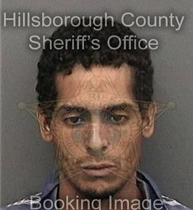 Steven Milligan - Hillsborough County, FL 