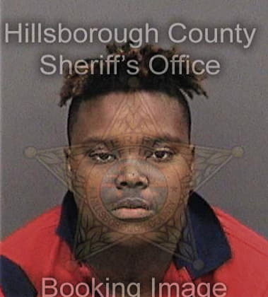 Sierra Mitchell - Hillsborough County, FL 