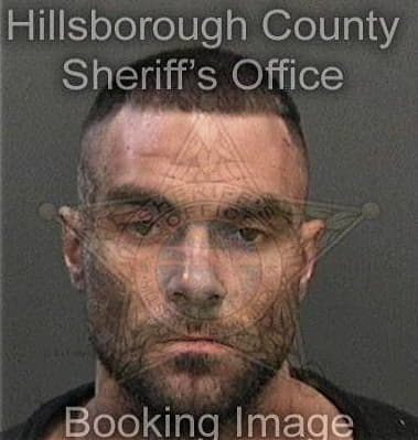 Mohammad Mustafaalmasri, - Hillsborough County, FL 