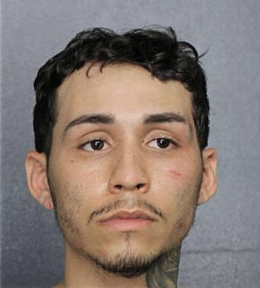 Daniel Piloto-Cabrera, - Broward County, FL 