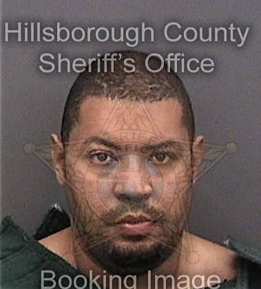 Jerald Williams, - Hillsborough County, FL 