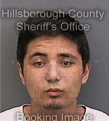 Joe Deese, - Hillsborough County, FL 