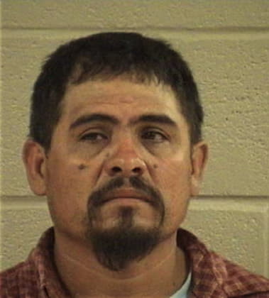 Fernando Delgadillo, - Whitfield County, GA 