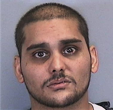 Bryan Garcia-Mendoza, - Manatee County, FL 