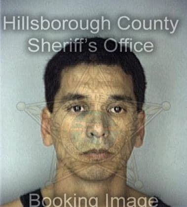Rogerilo Mendoza - Hillsborough County, FL 